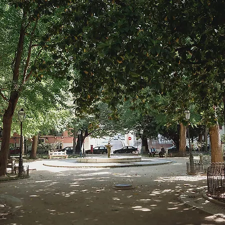 Casa Amora לינה וארוחת בוקר 4*