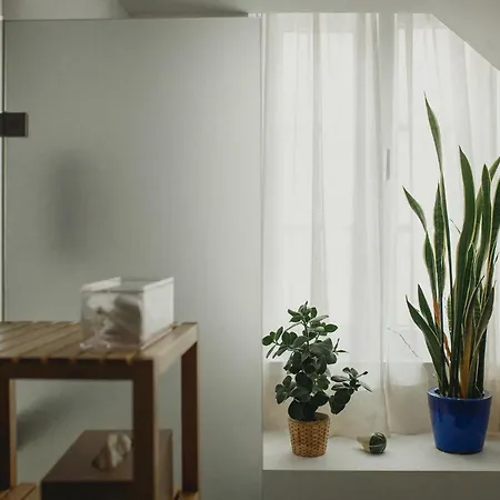 Casa Amora Alojamento de Acomodação e Pequeno-almoço
